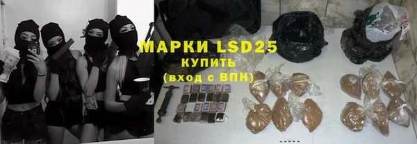 spice Богданович