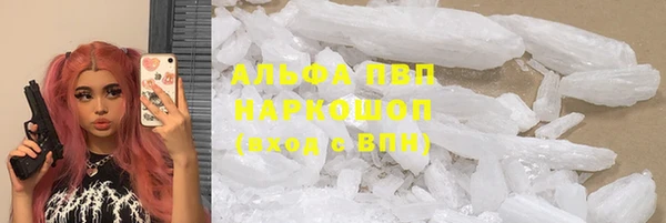 spice Богданович