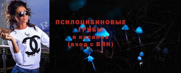spice Богданович