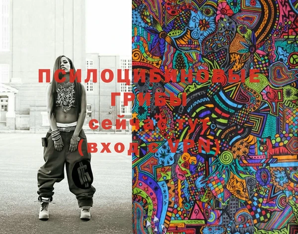 spice Богданович