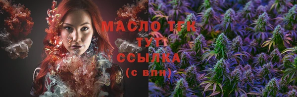 spice Богданович
