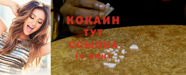 spice Богданович