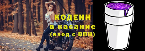 spice Богданович
